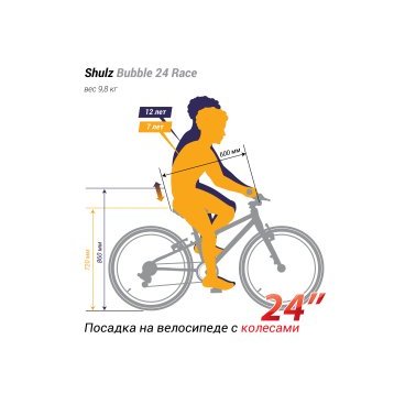 Подростковый велосипед SHULZ Bubble Race 24" 2020