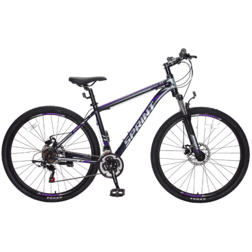 Горный велосипед TECH TEAM SPRINT disc 29" 2020