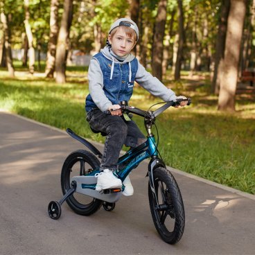 Детский велосипед Maxiscoo Ultrasonic Делюкс 16" 2022